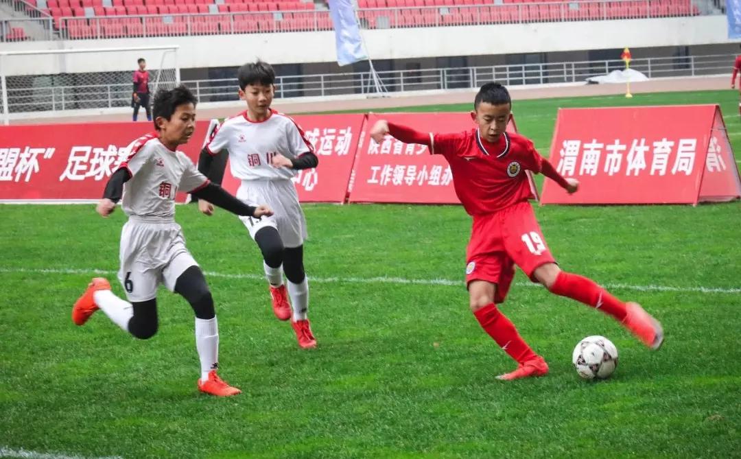 球迷看亚洲杯决赛,亚洲杯陕西球迷