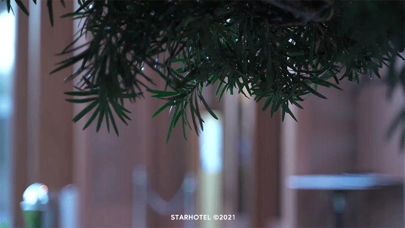 好玩的酒店打卡,深圳度假自助酒店