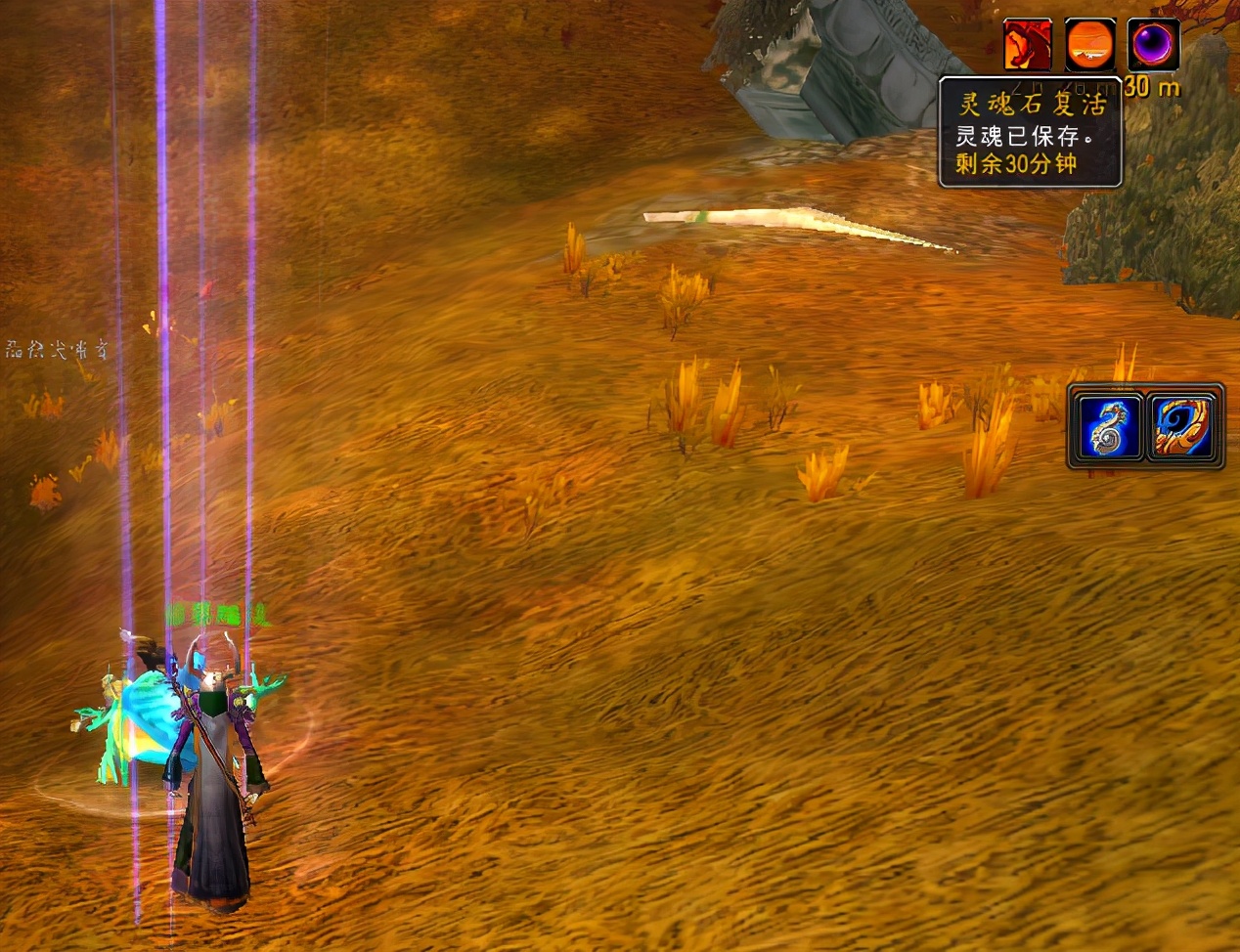 魔兽世界怀旧各职业吃什么药剂,魔兽世界各职业招牌技能