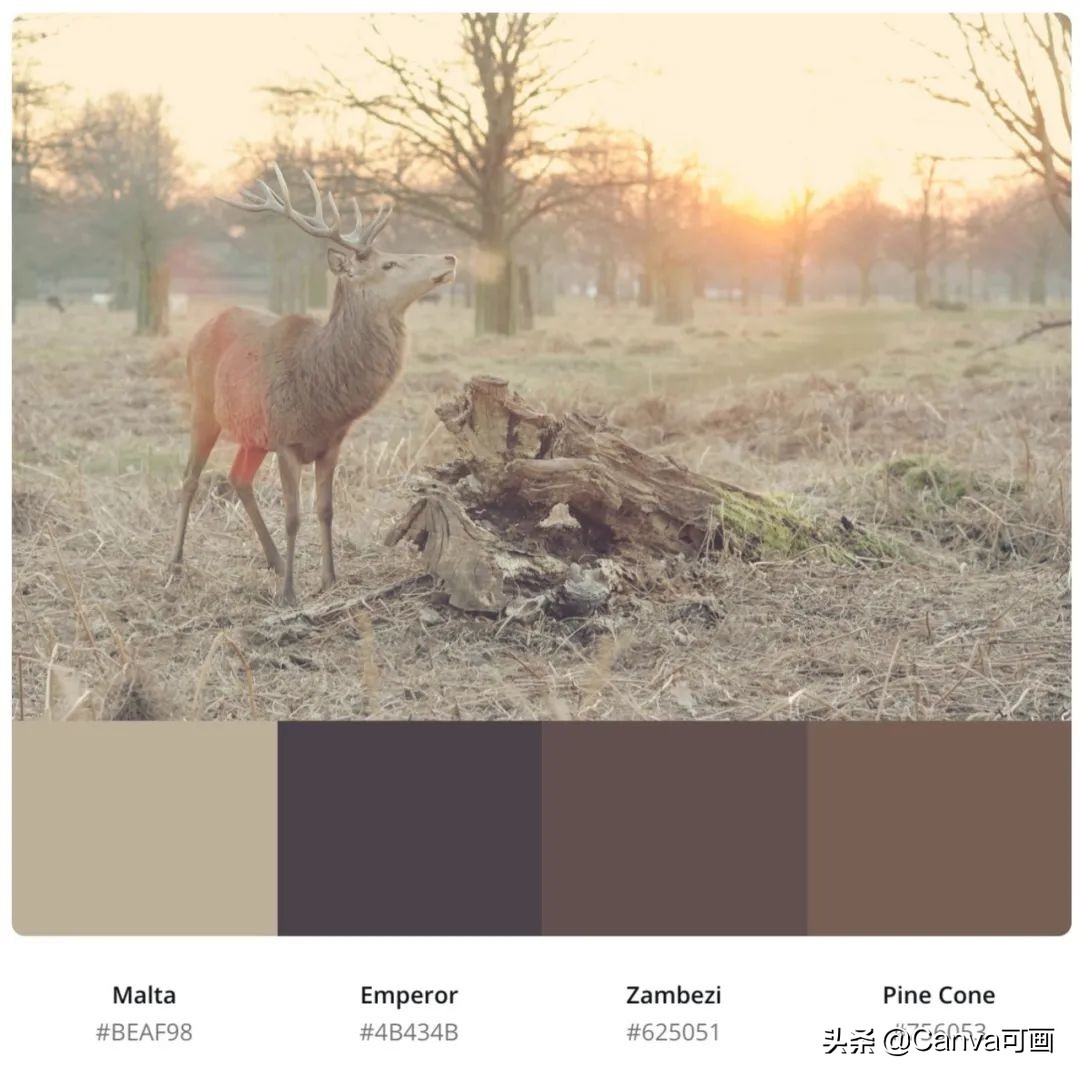 秋天配色插画秋高气爽,秋季高清插画