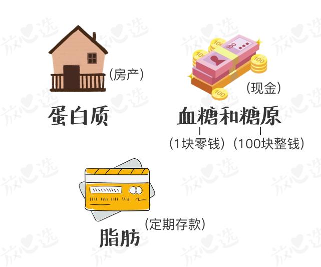 适合减脂期吃的高热量食物,减脂期是少吃高热量还是高脂肪