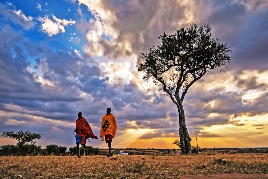 非洲马赛人：从狮口夺食的“战斗民族”