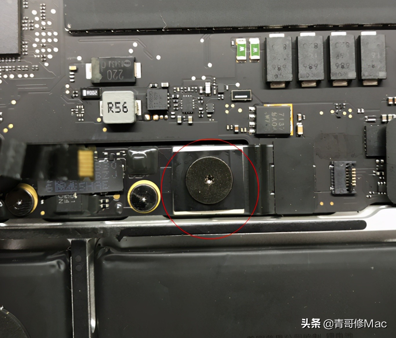 苹果笔记本进水怎么处理搞笑,苹果笔记本进水了怎么办