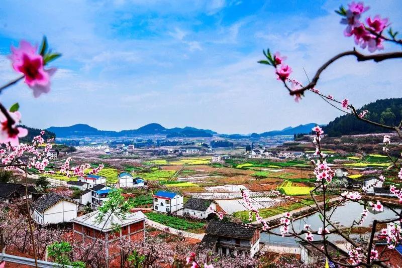 人民日报点赞资中县,人民日报点赞原阳