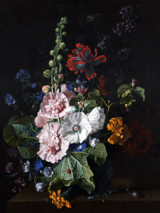 精美花图片大全,好看鲜花图片手绘