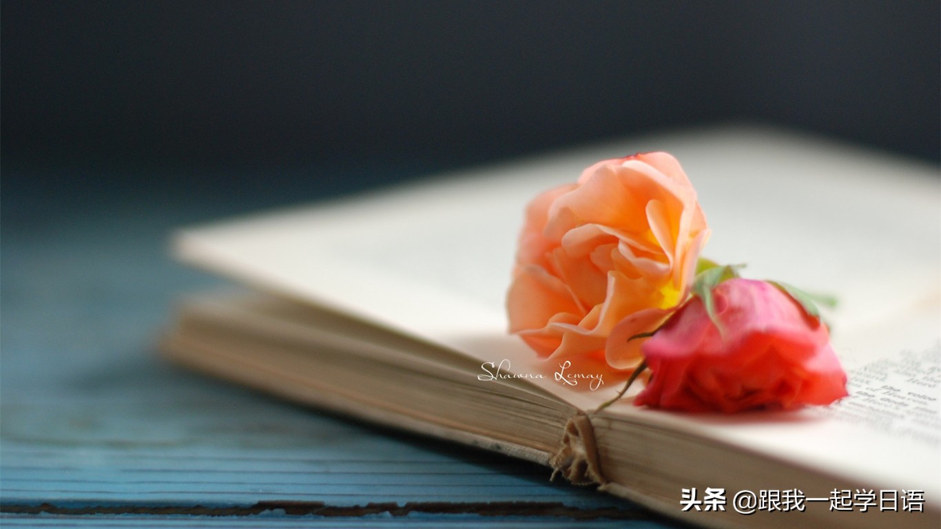 日语中标点符号的正确使用方法,日语高考标点符号