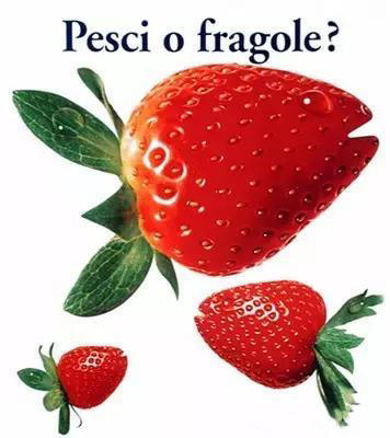 在意大利用方言买东西,在超市买的意大利面怎么吃