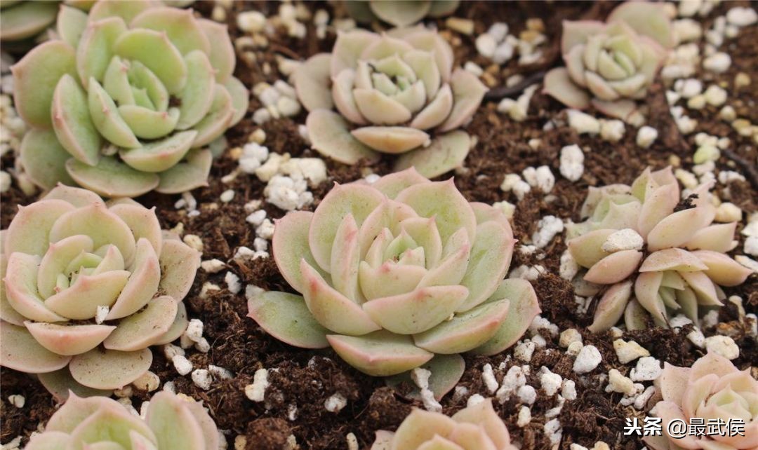 成都日化批发市场在哪便宜,成都批发市场哪里最大最便宜