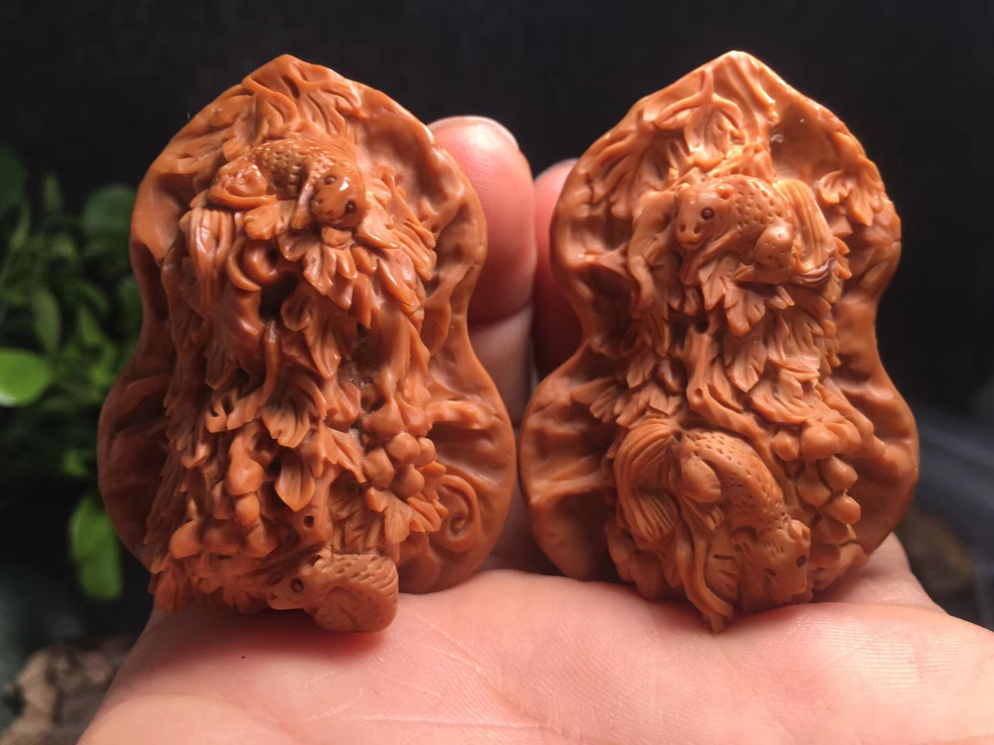 落地桃核发黑如何清洗,山桃核的正确清洗方法