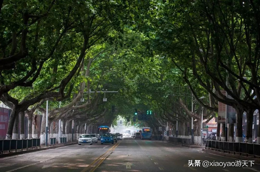 南京一条中山路半部民国史,行走南京1-100公里