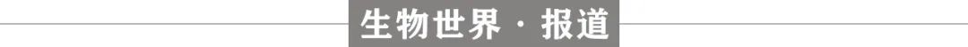 蓝鸟生物调查结果出炉：慢病毒基因疗法“极不可能”导致白血病