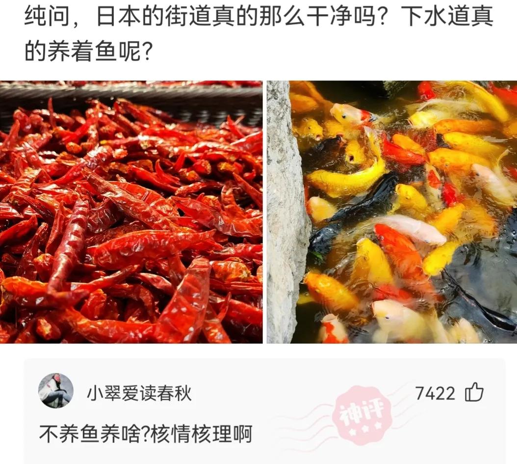 神回复城市因岁月而伟大,有钱乡下是净土没钱全是土图片