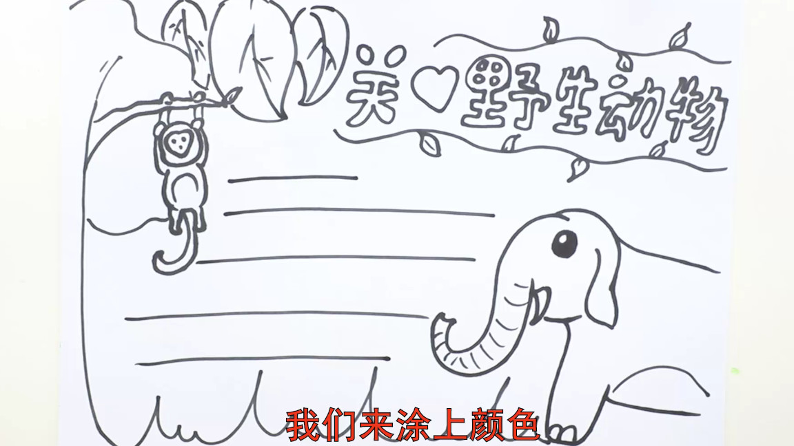 保护野生动物的手抄报内容,病从口入保护野生动物手抄报