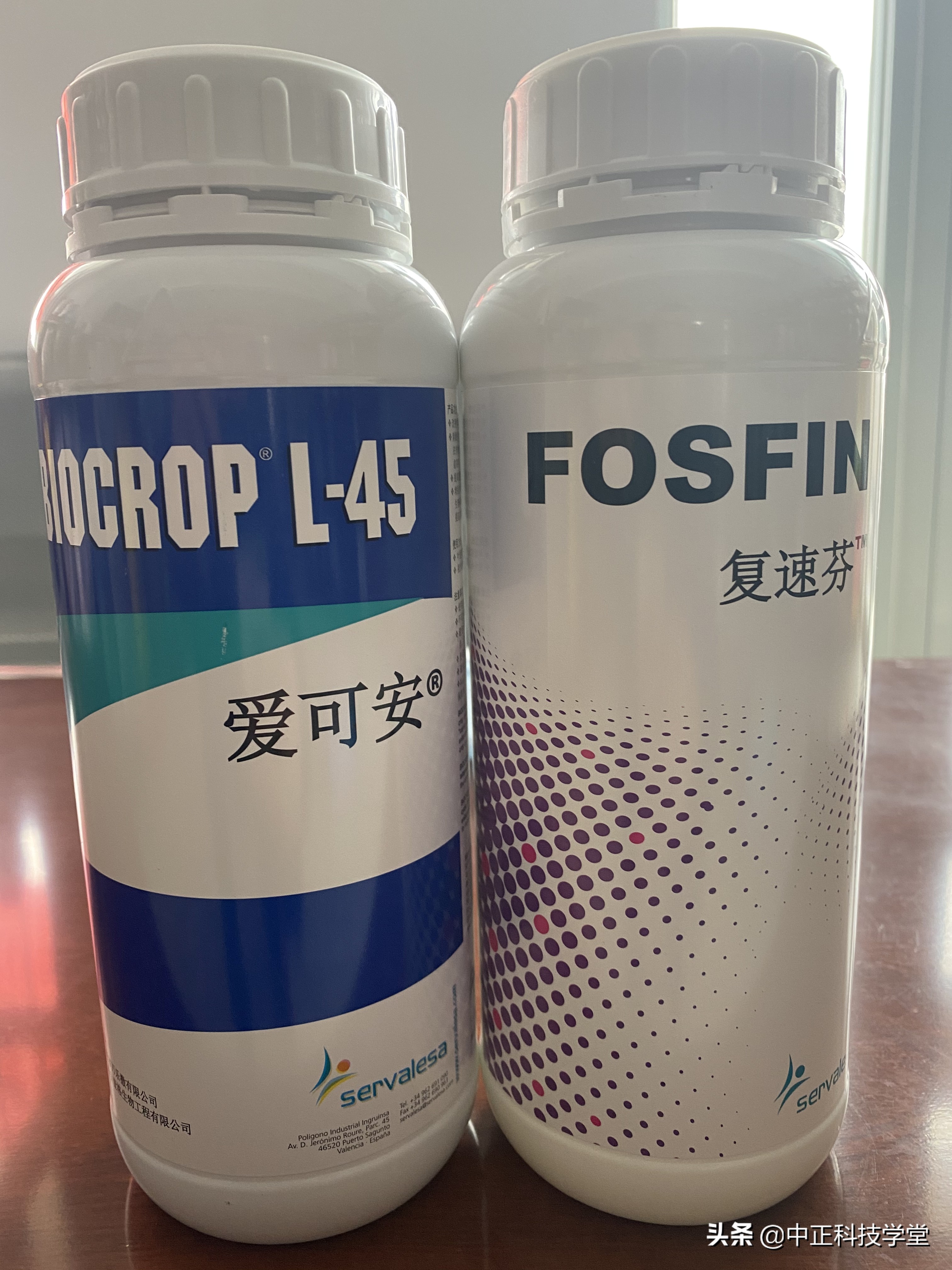 治疗棉花黄萎病哪种药最好,棉花枯黄萎病最新最详细防治方法