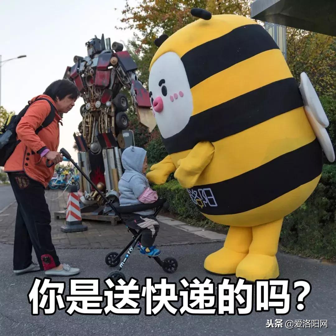 双十一账单图,双十一账单查询2020