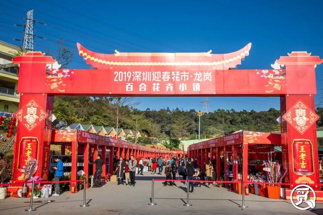 深圳花店有什么花,深圳龙华花店订花送花