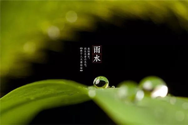 雨水养生防寒养脾正当时,雨水节气养肝最佳方法