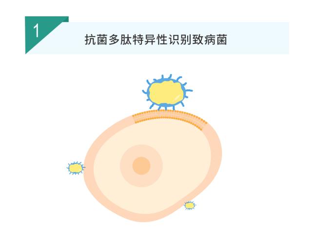 海得宝治疗什么,海得宝有没有激素