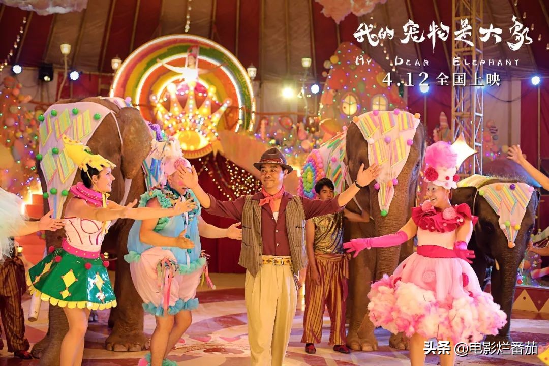 刘青云为什么缺席金像奖,刘青云的真实生活视频