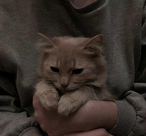 虚拟,你是我触手可及的虚拟歌词伴奏