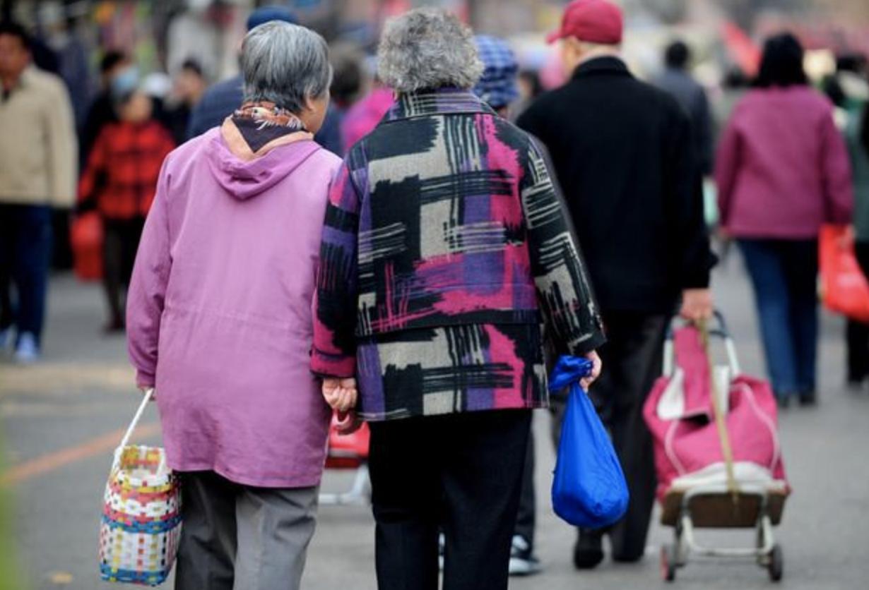 催生无用后专家提新建议,催生无果的后果