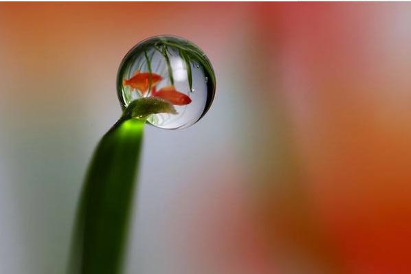 恒指期货的最佳战法,恒指期货最好的止损方法