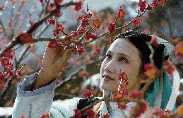 曹雪芹在红楼梦中如何评价林黛玉,红楼梦中的黛玉和曹雪芹的关系