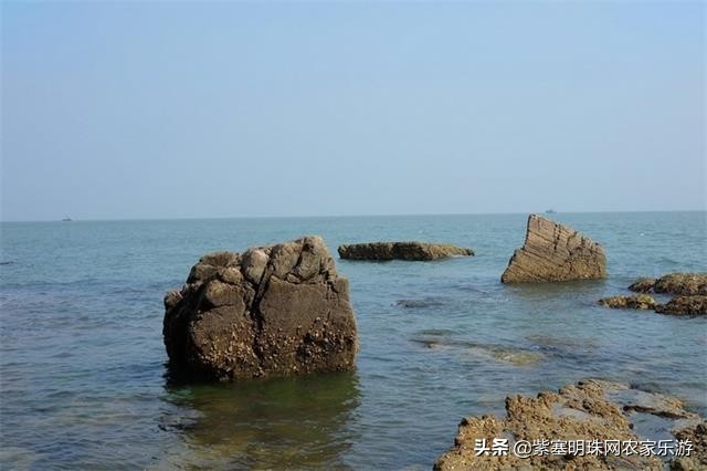 山东高级旅行社游玩攻略,长岛渤海长通旅运有限公司