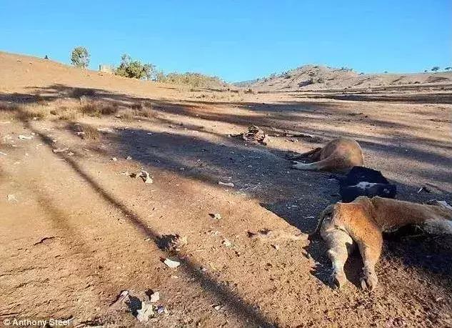 2019年地球进入小冰期,地球是大灾大难还是地球末日