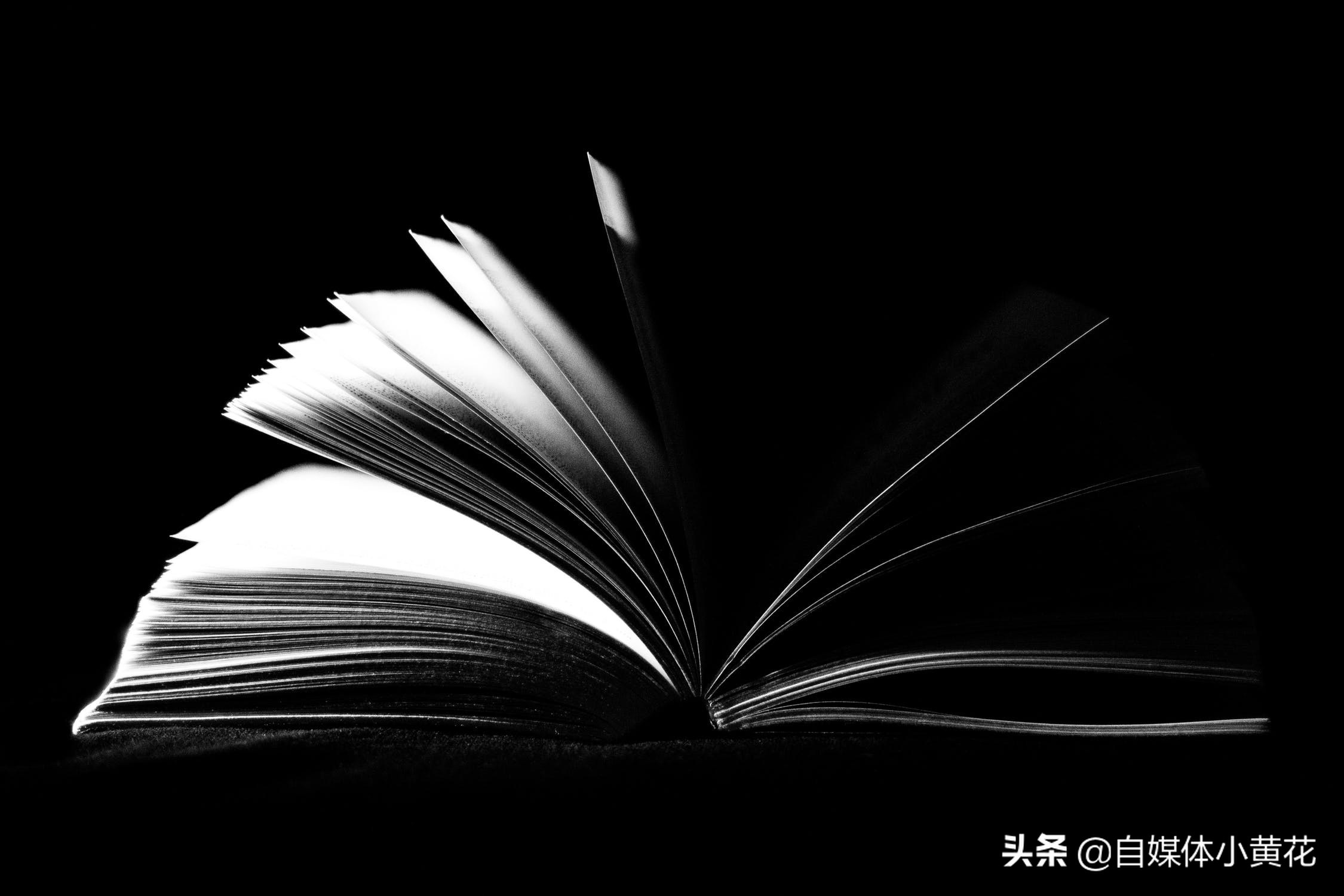 易撰爆文标题生成器怎么下载,爆文工具易撰官网是免费的吗