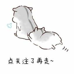 自学模型设计,自学模型