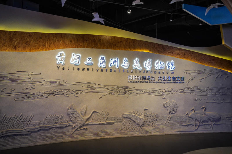 山东周边游2天1夜小众,5.1山东五日游