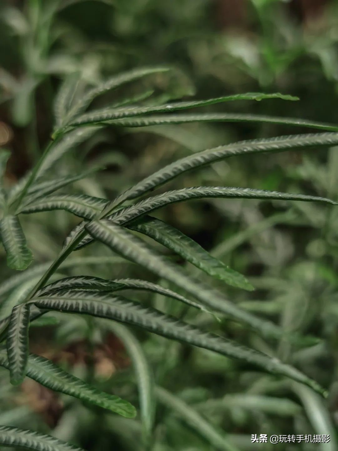 小米手机的遗憾之作,小米手机真香内行人都推荐这三款