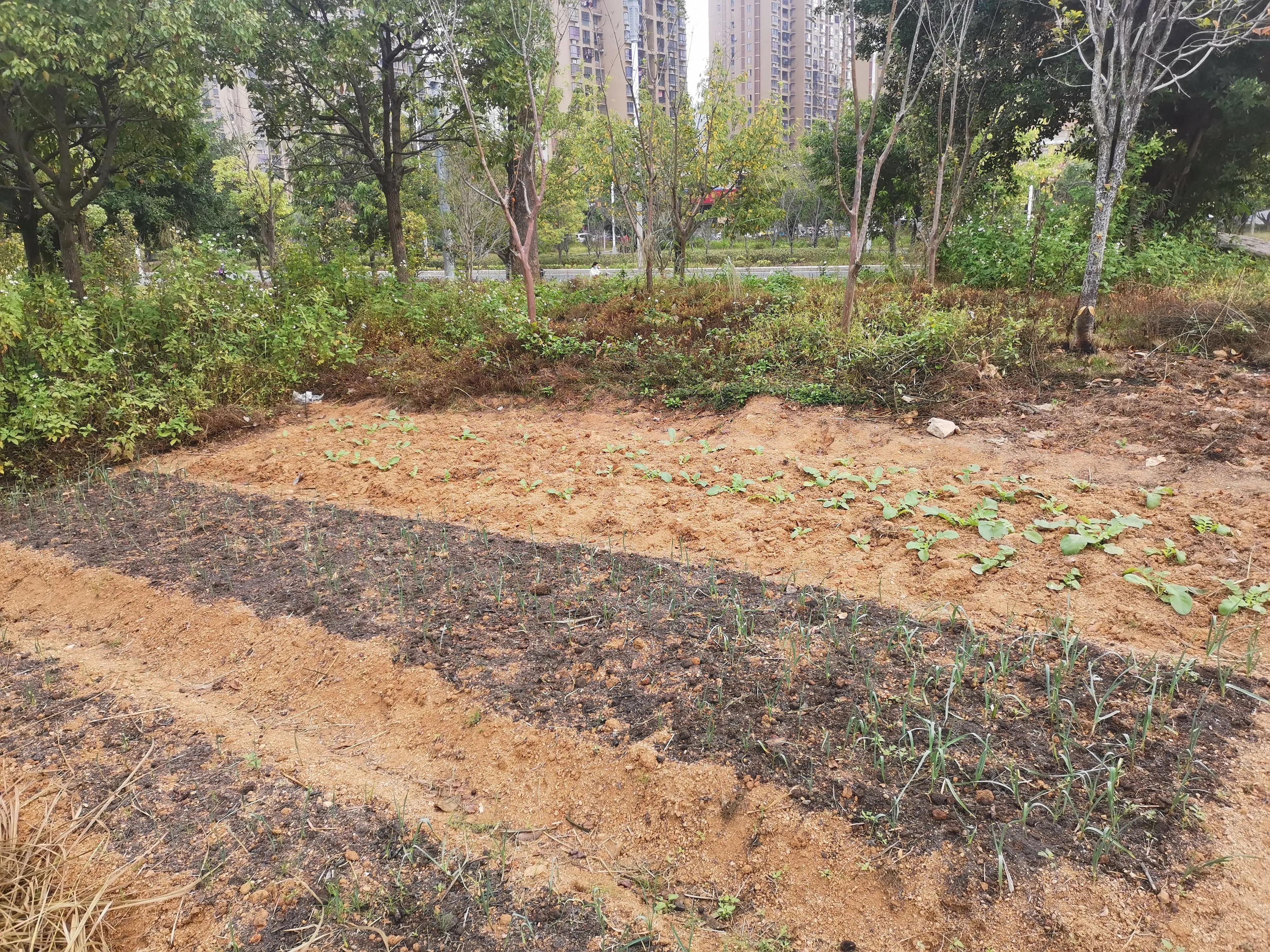 罗源滨海新城目前人口,罗源滨海新城多少亩地