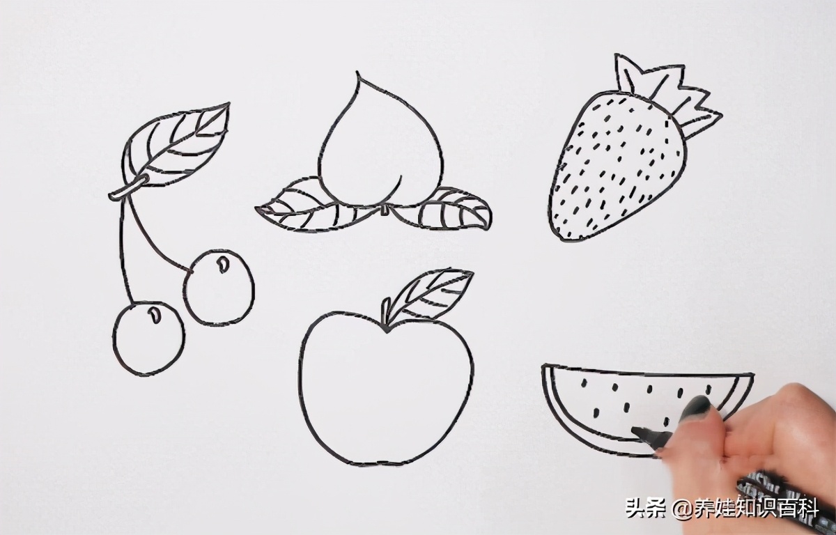 秋天成熟的水果有哪些简笔画,水果简笔画图片萌图100张