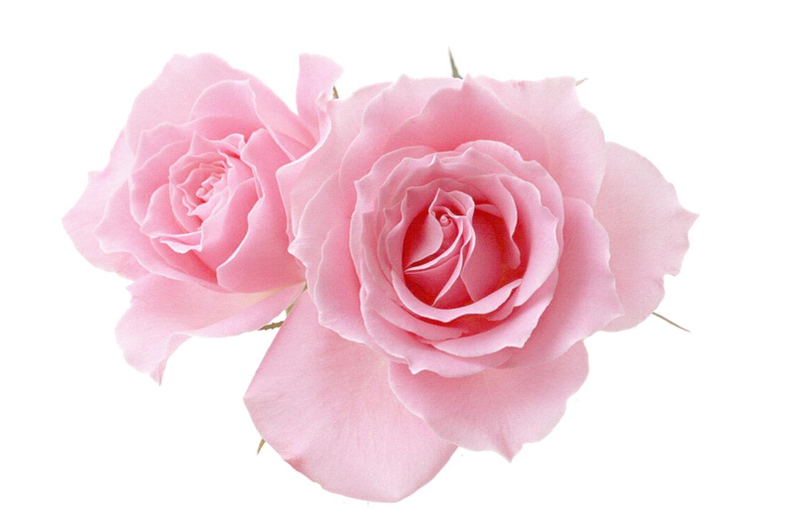 ps技巧处理大全,ps快速学习技巧