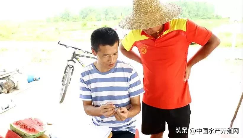 曾经生意亏损100万,曾经创业亏损100万