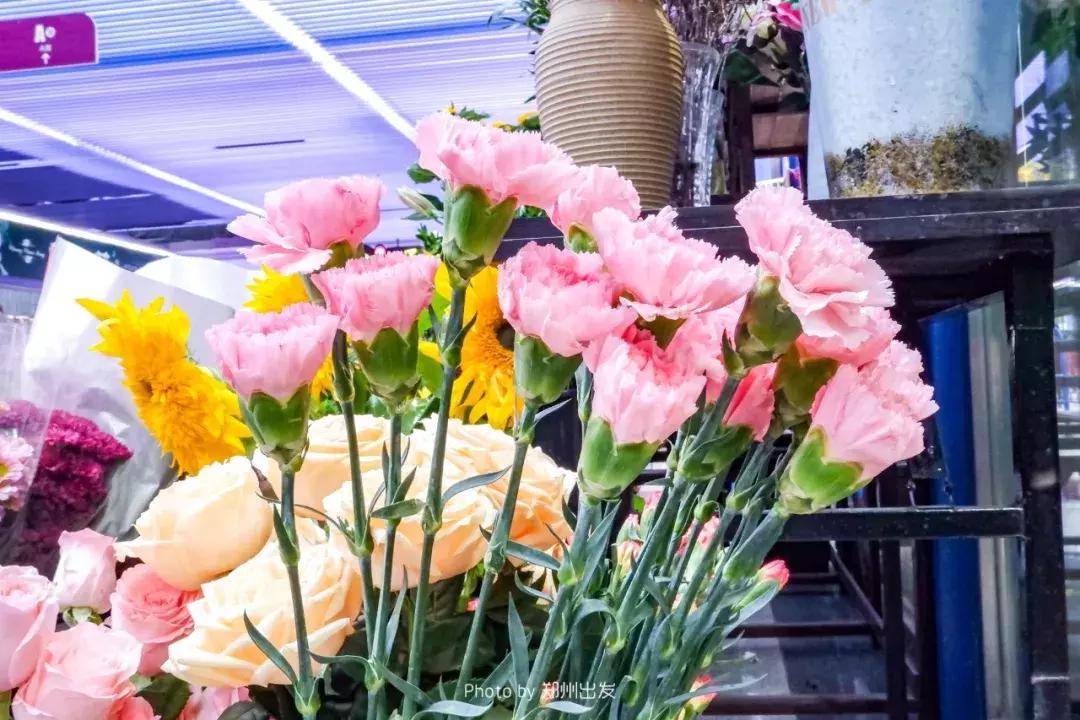 郑州三大花卉市场都是哪个,郑州哪个花卉市场最全