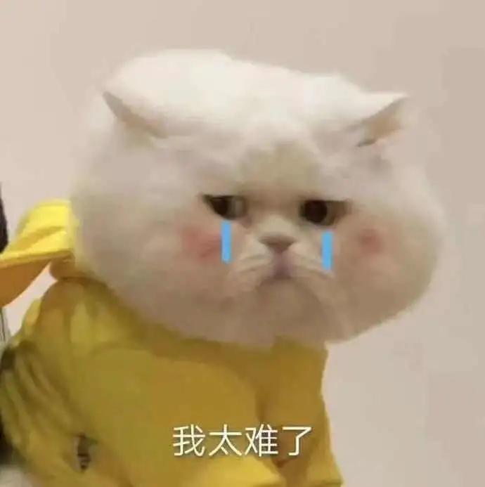 选岗位考公务员优先,选岗公务员