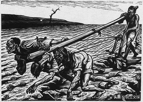 鲁迅一生都有哪些爱好,鲁迅的爱好及他与家人的故事