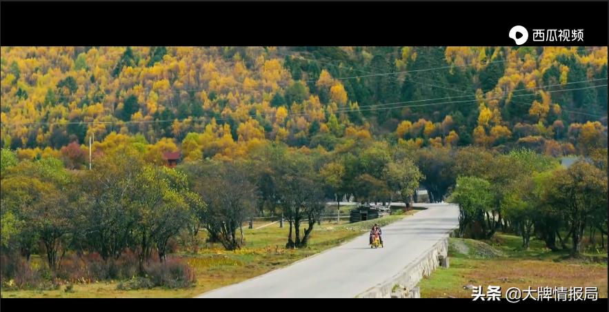 徐峥黄渤喜剧电影免费大全,囧途徐峥黄渤完整版