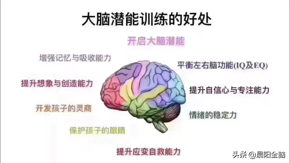 右脑的潜能怎么发挥,右脑能力是什么