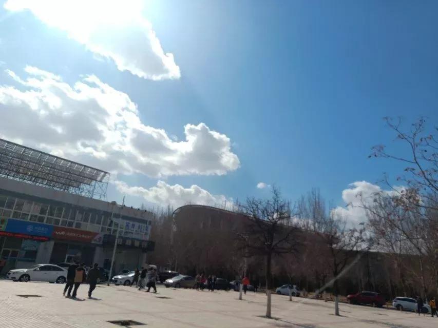 沈阳理工大学辽宁工程技术大学,沈阳理工大学专科院校