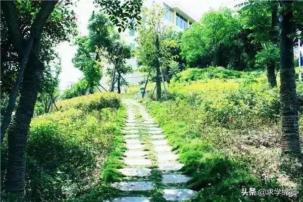 高校街拍西南科技大学城市学院,四川西南科技大学城市学院