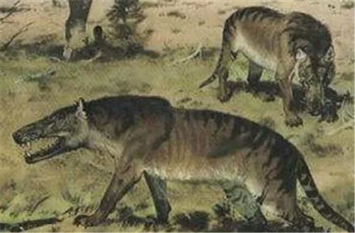 狼人被击中的真实事件,狼人杀人事件