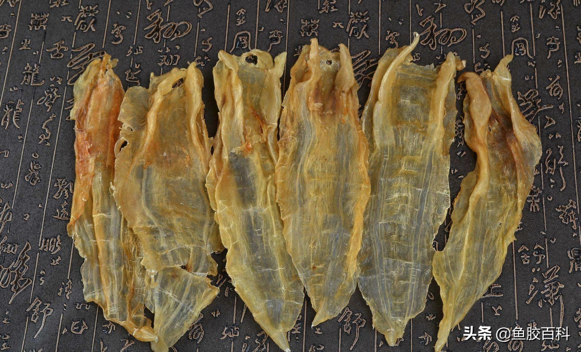 鱼胶花胶科普,鱼胶怎么买又便宜又有营养