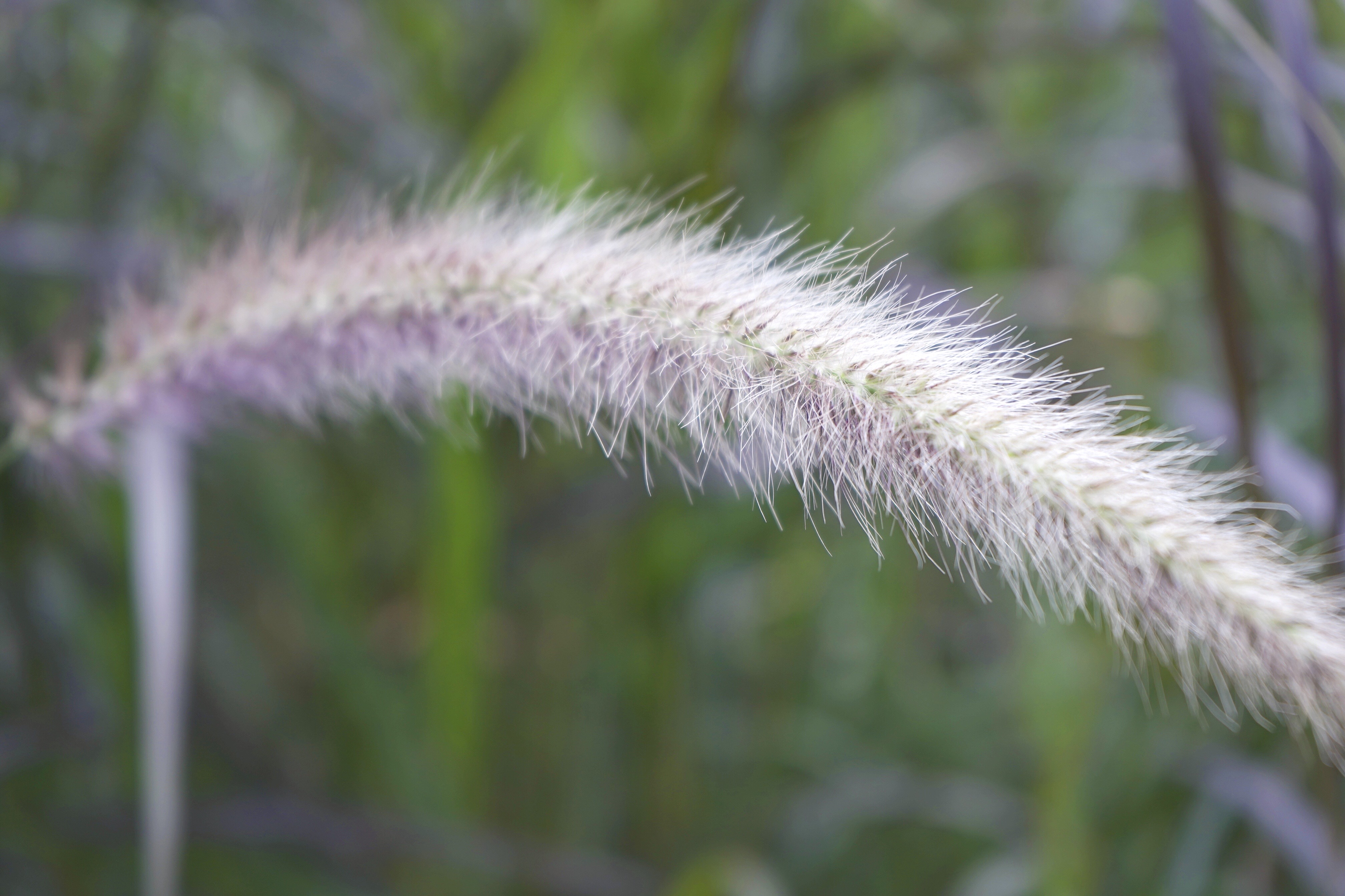 景深和光圈与焦距的关系,景深与焦距分析