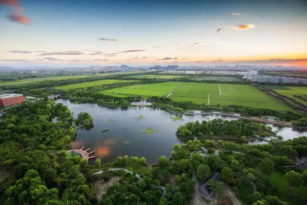 钱塘区金沙湖最新规划,钱塘金沙湖新区