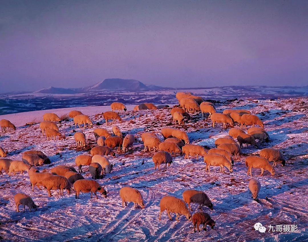 大美坝上草原全景,大美坝上风光系列之一