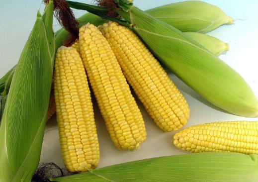 小孩吃什么食物可以明目保护眼睛,吃猪肝对保护视力有好处吗